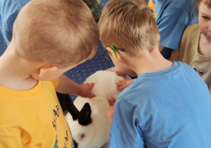 Zdjęcie przedstawia dzieci w trakcie warsztatów z króliczkami