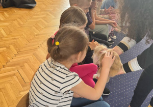 Zdjęcie 3 na 24