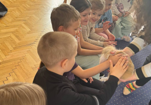 Zdjęcie 4 na 24