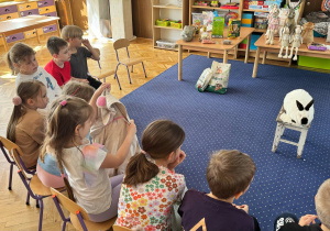 Zdjęcie 8 na 24