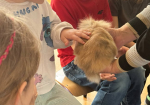 Zdjęcie 13 na 24