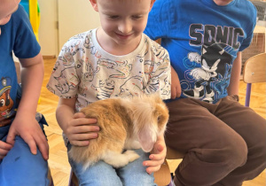 Zdjęcie 17 na 24