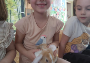 Zdjęcie 1 na 22