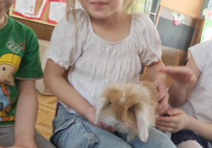 Zdjęcie 9 na 22