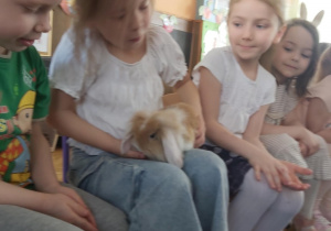 Zdjęcie 4 na 22