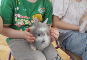 Zdjęcie 6 na 22