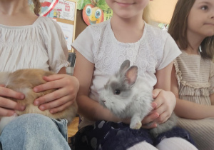 Zdjęcie 7 na 22
