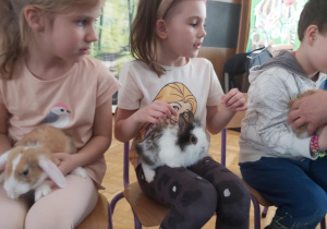 Zdjęcie 8 na 22