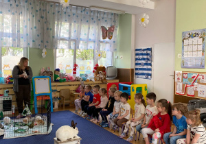 Zdjęcie 7 na 12