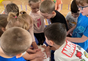 Zdjęcie 12 na 12