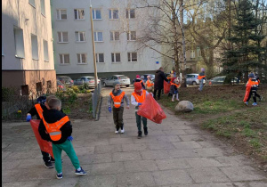 Zdjęcie 8 na 35