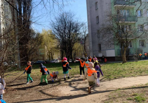 Zdjęcie 5 na 35