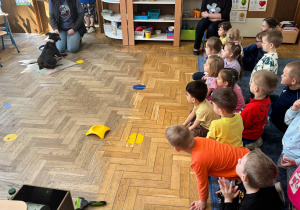 Zdjęcie 31 na 33