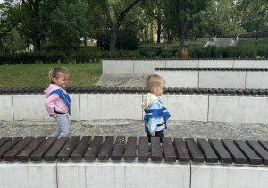 Zdjęcie przedstawia dzieci podczas zabaw w parku