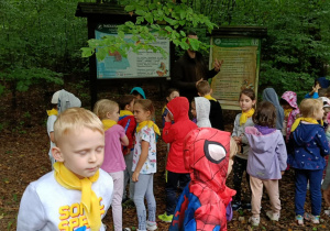 Zdjęcie przedstawia dzieci podczas wycieczki do leśnictwa