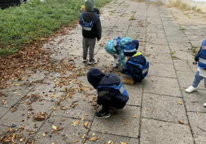 Zdjęcie przedstawia dzieci podczas zbierania kasztanów
