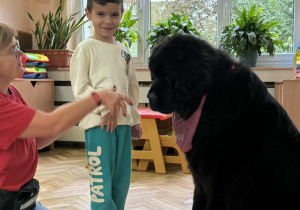 Zdjęcie przedstawia dzieci podczas zabaw z psem