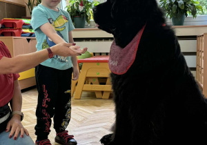 Zdjęcie przedstawia dzieci podczas zabaw z psem