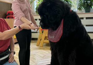 Zdjęcie przedstawia dzieci podczas zabaw z psem