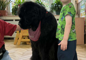 Zdjęcie przedstawia dzieci podczas zabaw z psem