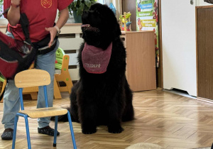 Zdjęcie przedstawia dzieci podczas zabaw z psem