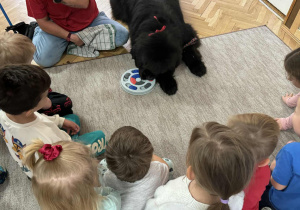 Zdjęcie przedstawia dzieci podczas zabaw z psem