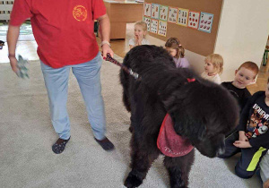 Zdjęcie przedstawia zajęcia z dogoterapii