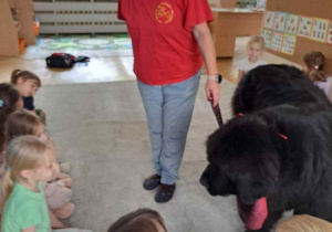 Zdjęcie przedstawia zajęcia z dogoterapii