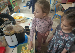 Zdjęcie przedstawia dzieci podczas robienia soku z owoców