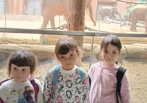 Zdjęcie przedstawia dzieci w orientarium