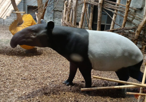 Zdjęcie przedstawia dzieci w orientarium