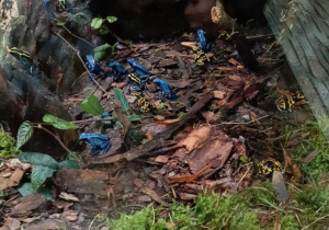 Zdjęcie przedstawia dzieci w orientarium