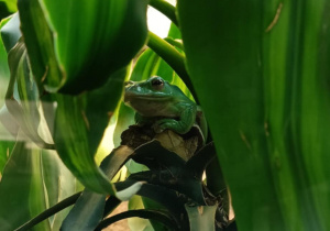 Zdjęcie przedstawia dzieci w orientarium