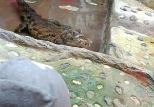 Zdjęcie przedstawia dzieci w orientarium