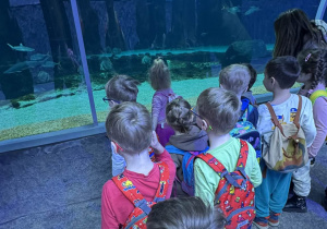 Zdjęcie przedstawia dzieci w orientarium