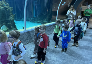 Zdjęcie przedstawia dzieci w orientarium