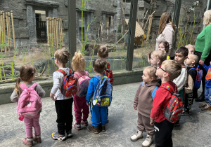 Zdjęcie przedstawia dzieci w orientarium