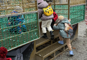 Zdjęcie przedstawia dzieci w orientarium