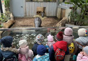 Zdjęcie przedstawia dzieci w orientarium