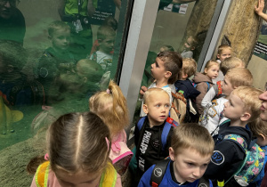 Zdjęcie przedstawia dzieci w orientarium