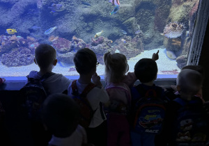 Zdjęcie przedstawia dzieci w orientarium