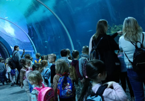 Zdjęcie przedstawia dzieci w orientarium