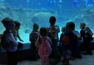 Zdjęcie przedstawia dzieci w orientarium