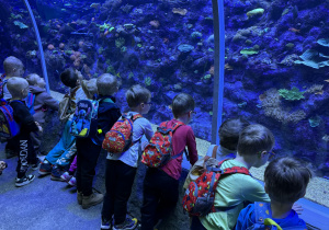 Zdjęcie przedstawia dzieci w orientarium