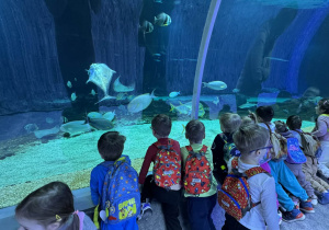 Zdjęcie przedstawia dzieci w orientarium