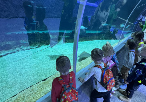 Zdjęcie przedstawia dzieci w orientarium