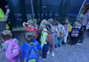 Zdjęcie przedstawia dzieci w orientarium