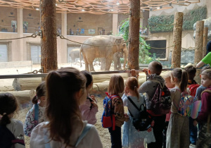 Zdjęcie przedstawia dzieci w orientarium