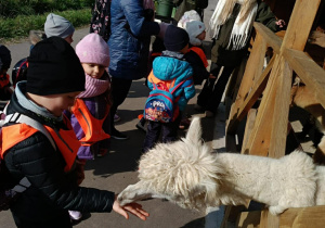 Zdjęcie przedstawia dzieci podczas wizyty w Dobroniance