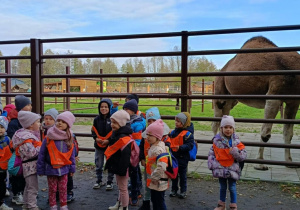 Zdjęcie przedstawia dzieci podczas wizyty w Dobroniance